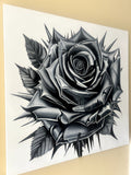 Black Rose